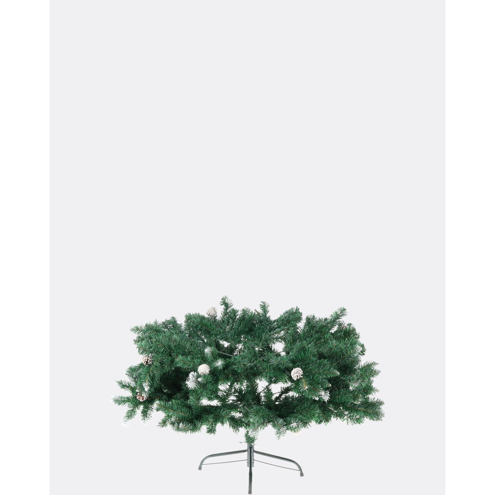 Smrek rysy - DREVTEX