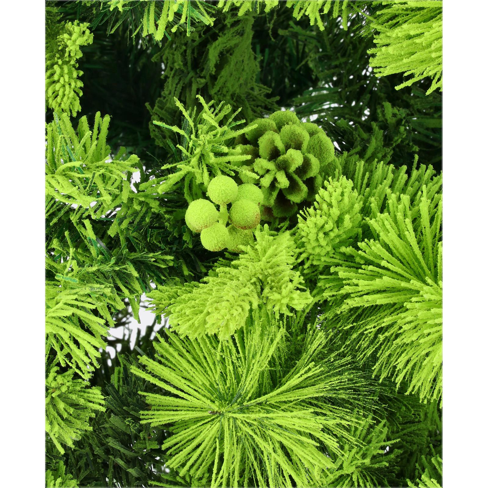 Smrekovec viedenský - DREVTEX