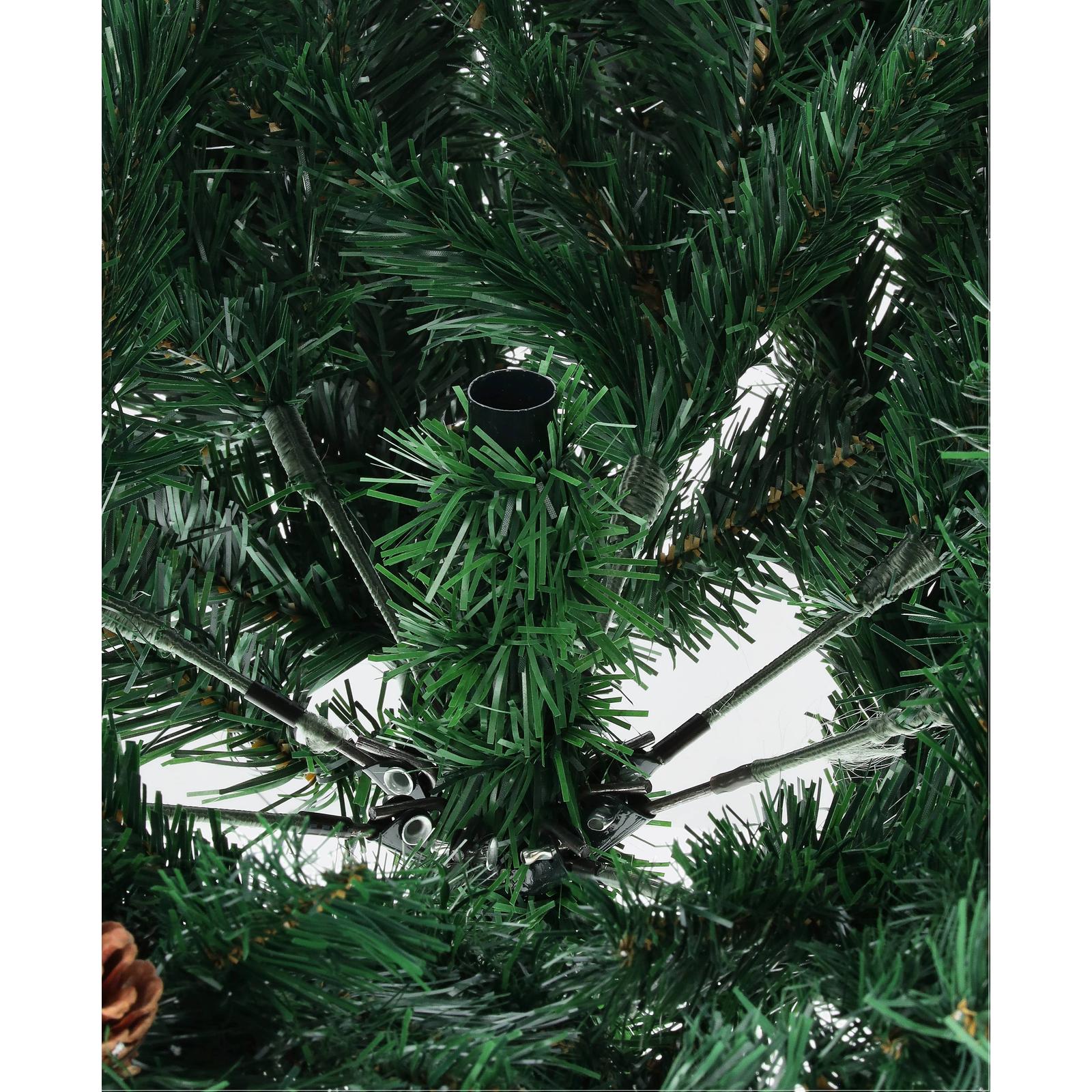 Borovica kaukazska-DREVTEX