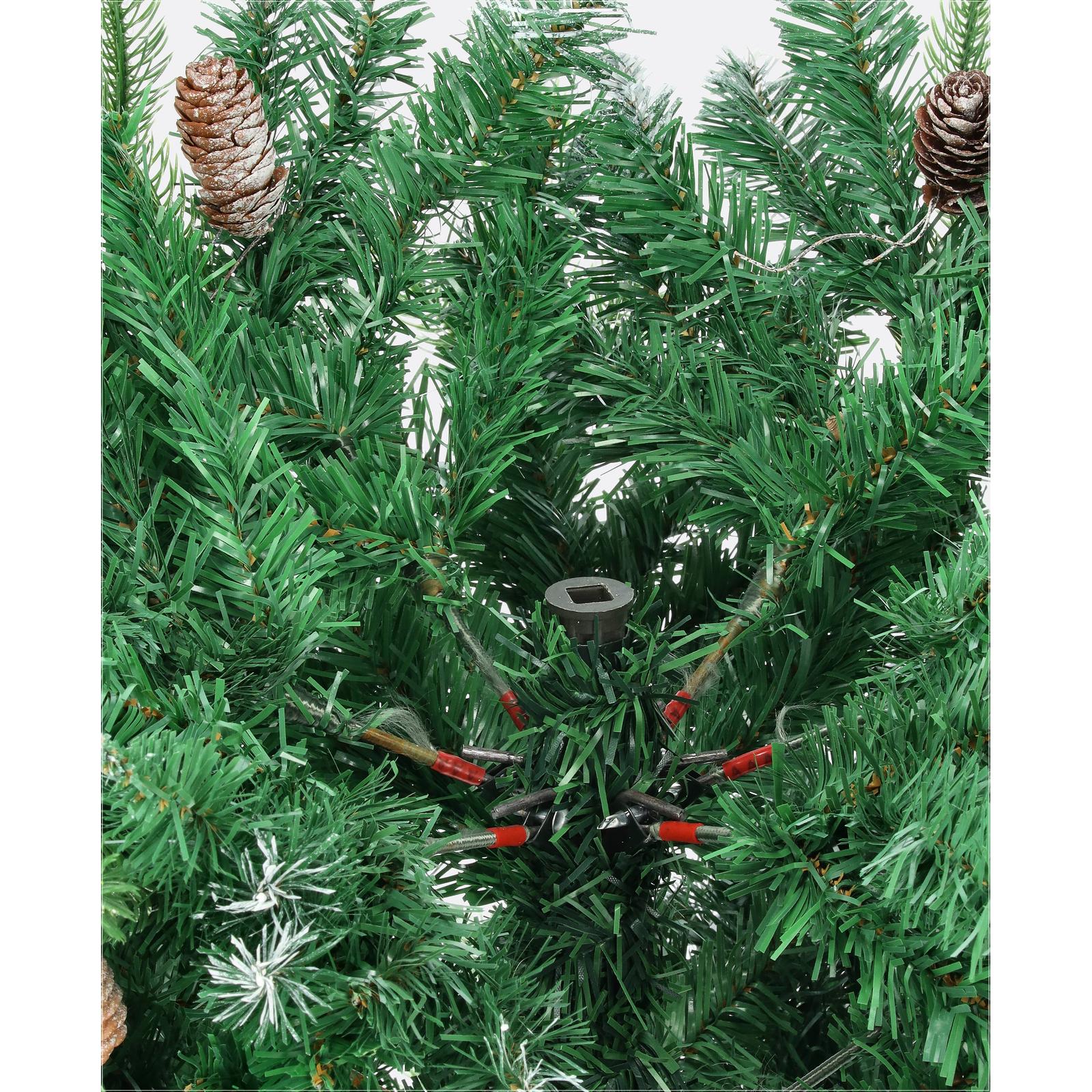 Borovica strieborná-DREVTEX