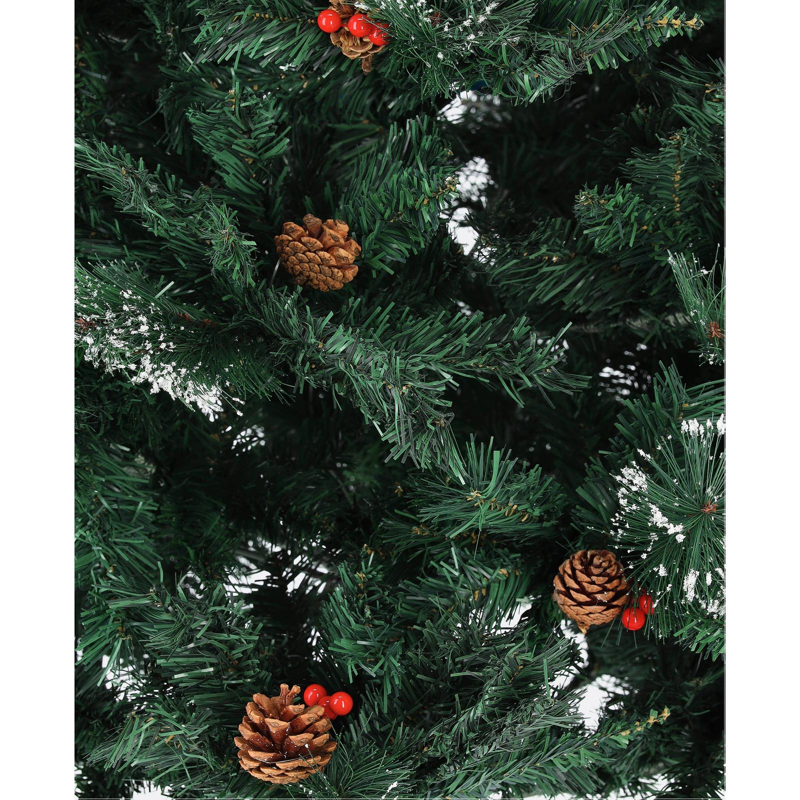 Borovica kaukazska-DREVTEX