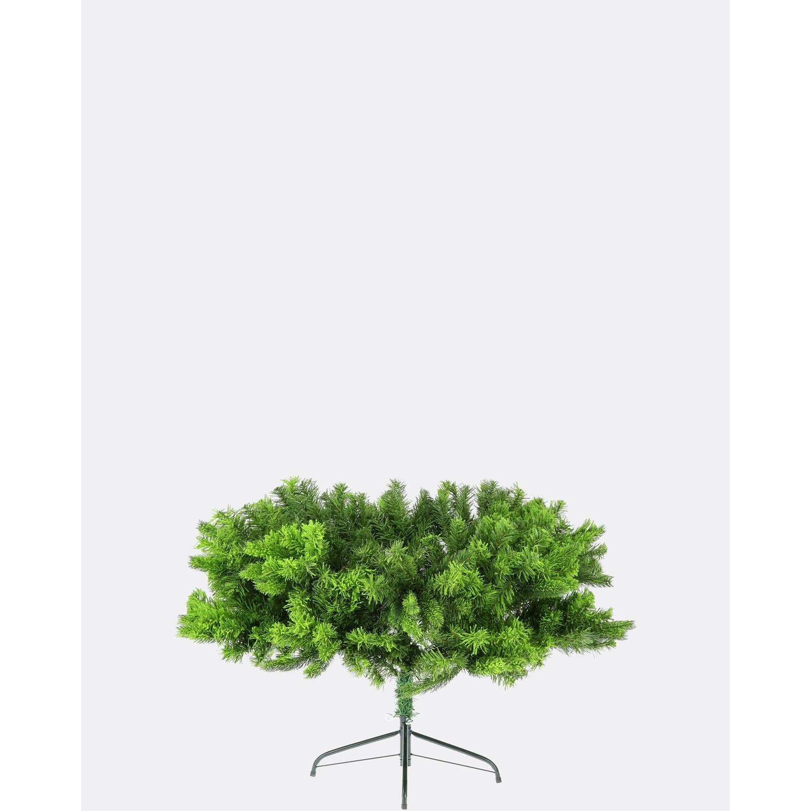 Smrek beskydský-DREVTEX