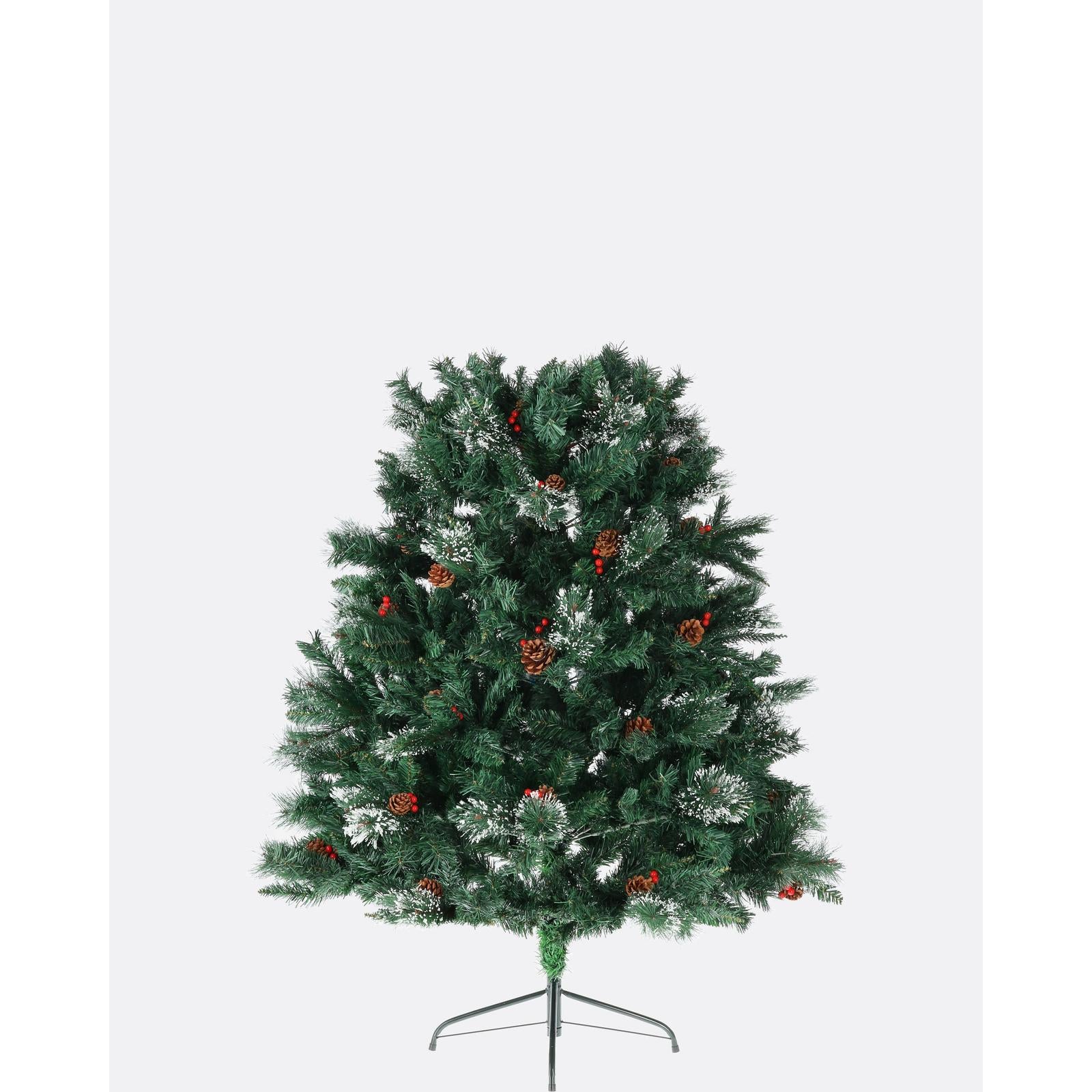 Borovica kaukazska-DREVTEX