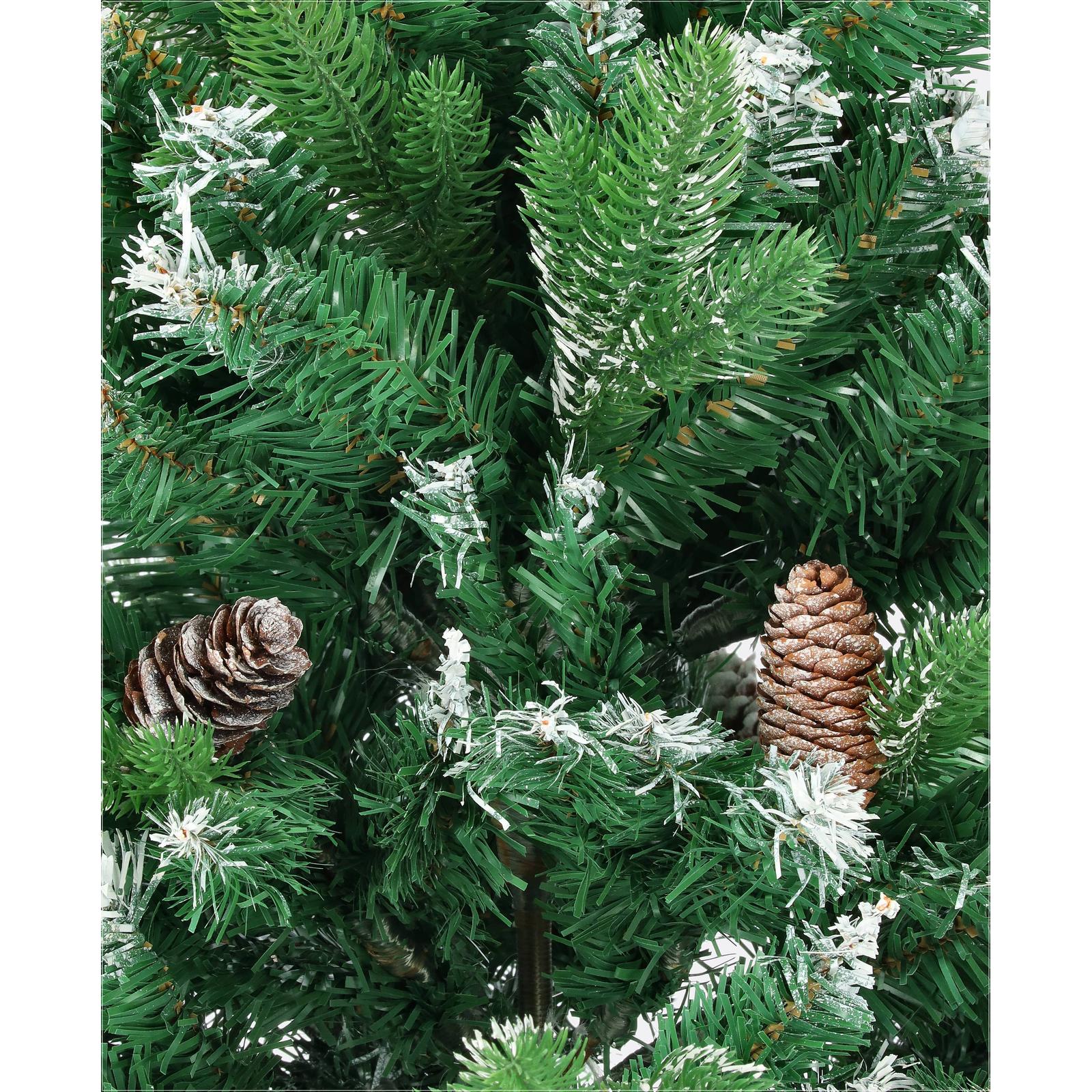 Borovica strieborná-DREVTEX