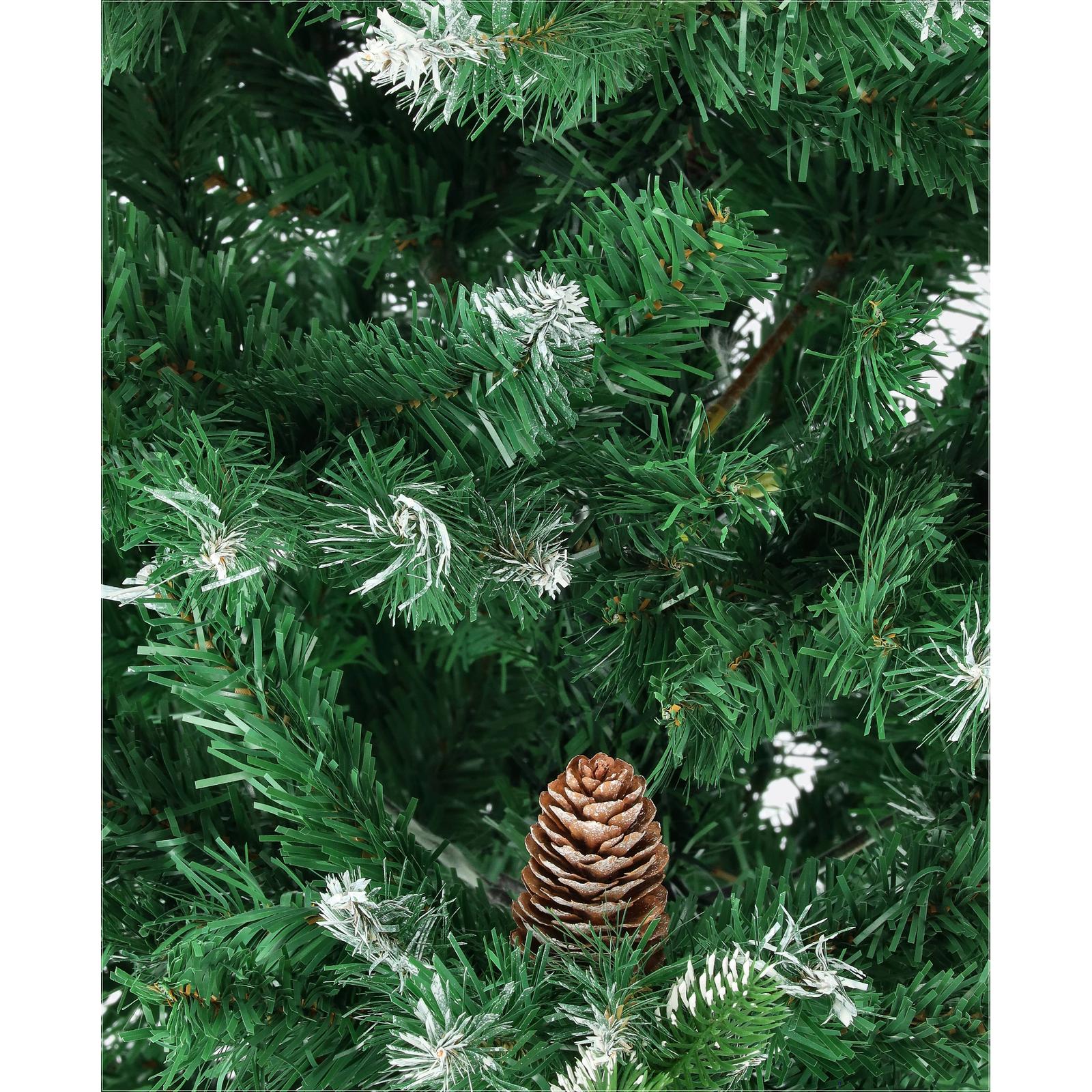 Borovica strieborná-DREVTEX