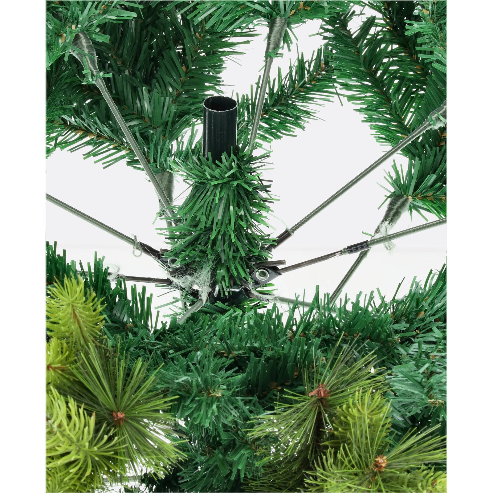 Borovica pieninská-DREVTEX