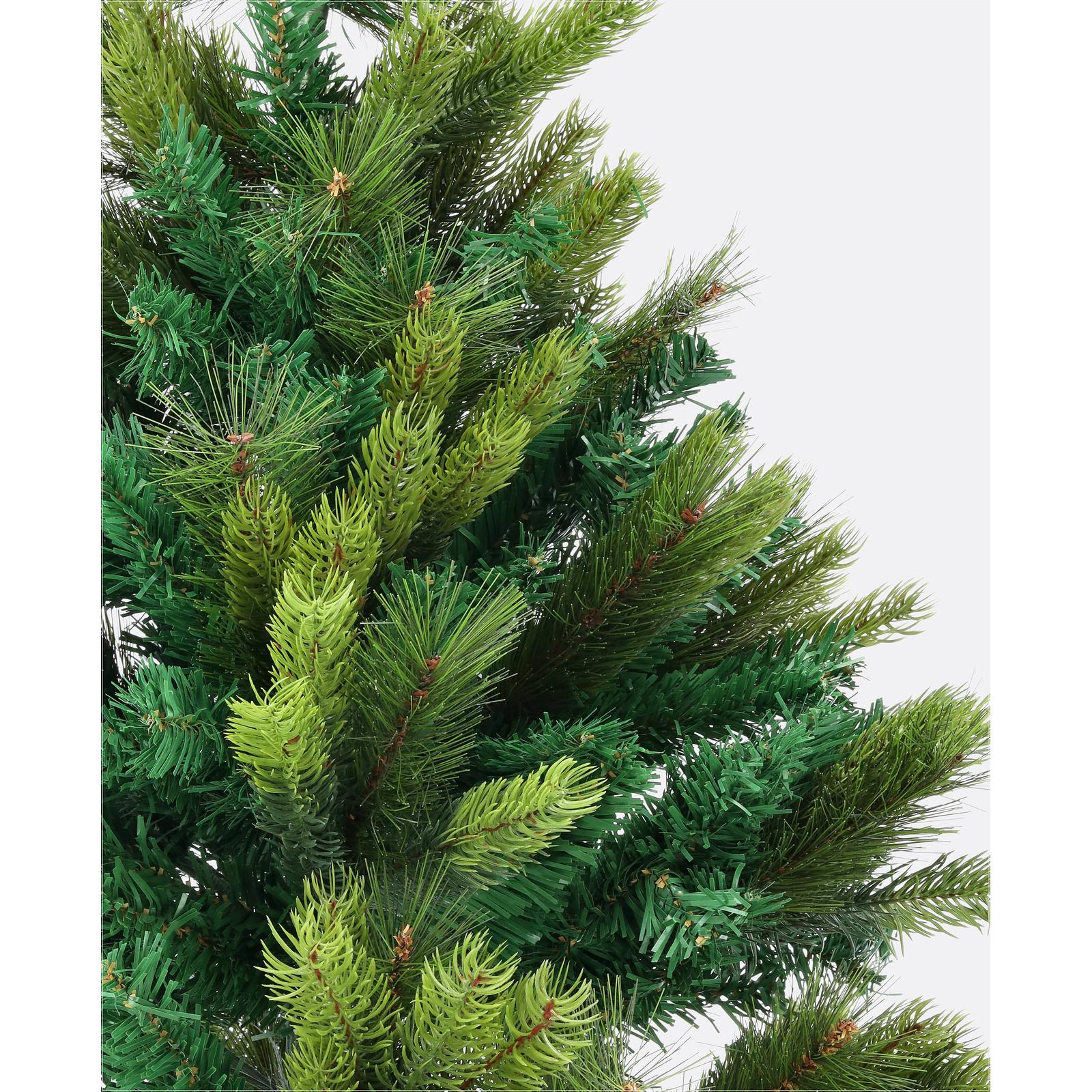 Borovica pieninská-DREVTEX