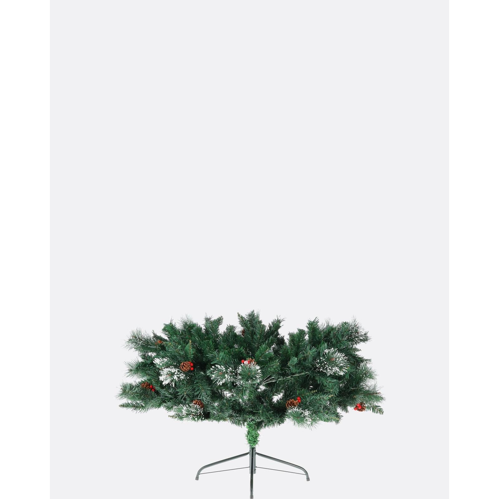 Borovica kaukazska-DREVTEX