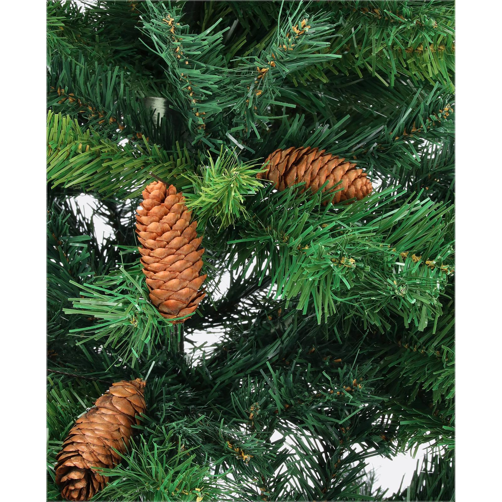 Smrek karpatský so šiškami-DREVTEX