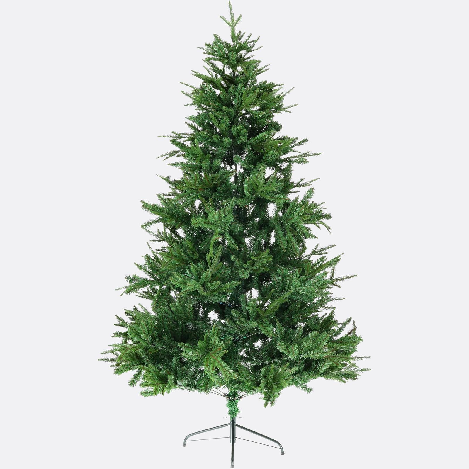 Jedľa himalájska-DREVTEX