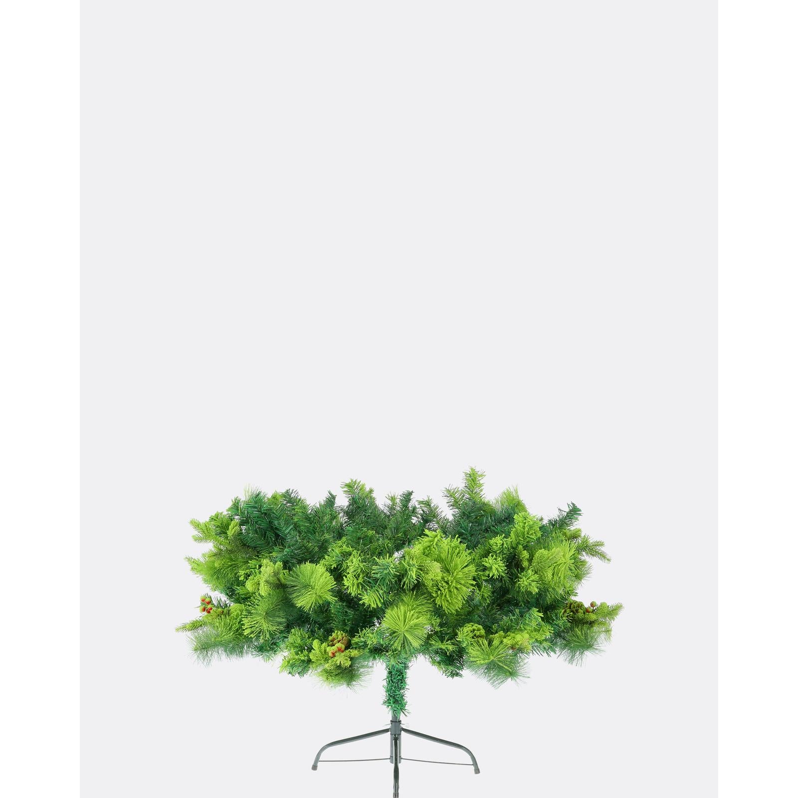 Smrekovec viedenský - DREVTEX