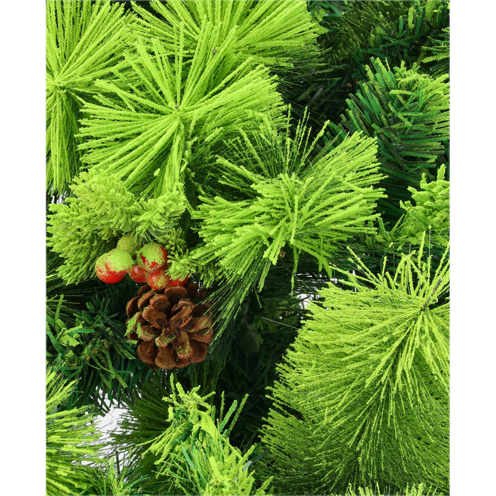 Smrekovec viedenský - DREVTEX