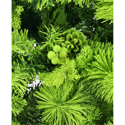 Smrekovec viedenský - DREVTEX