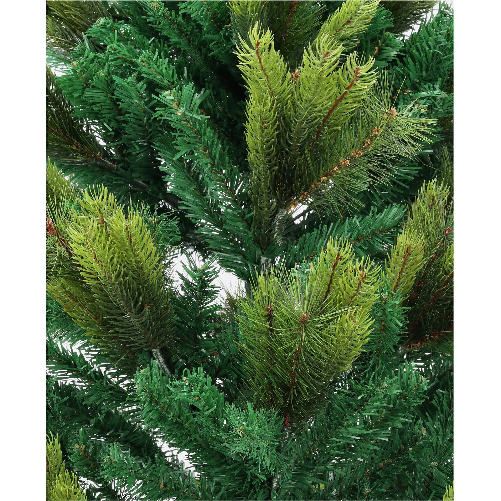 Borovica pieninská-DREVTEX