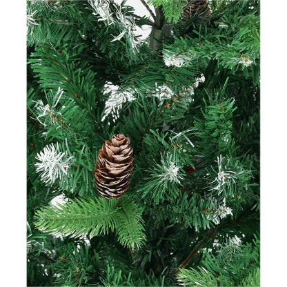 Borovica strieborná-DREVTEX