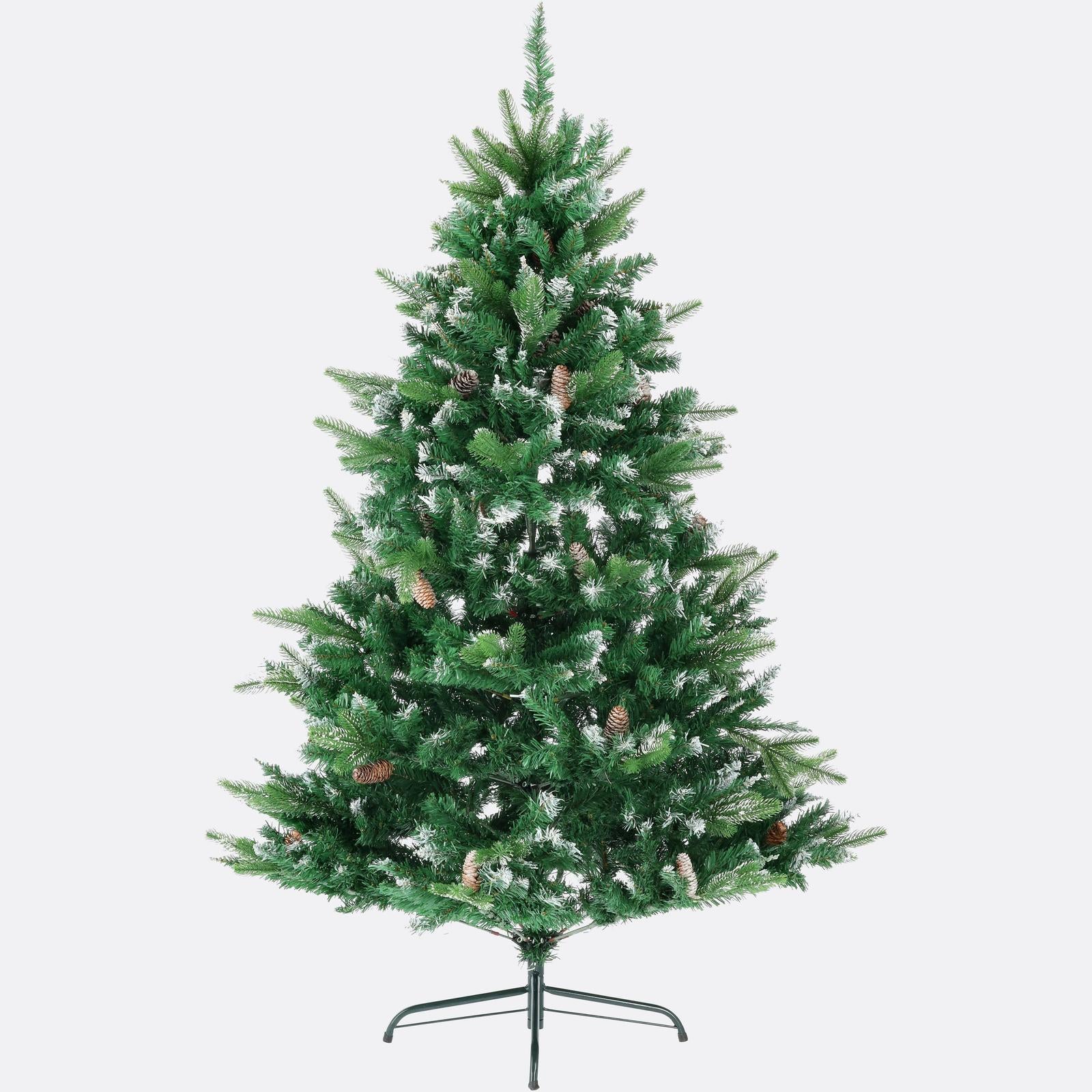 Borovica strieborná-DREVTEX