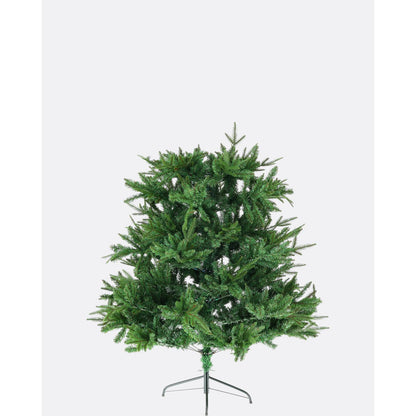 Jedľa himalájska-DREVTEX