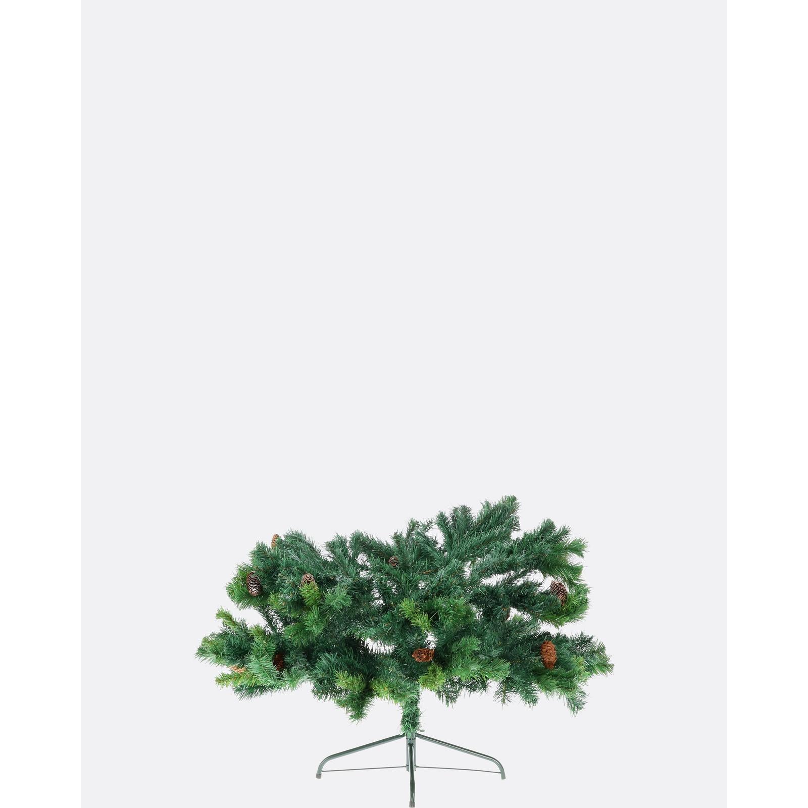 Smrek karpatský so šiškami-DREVTEX