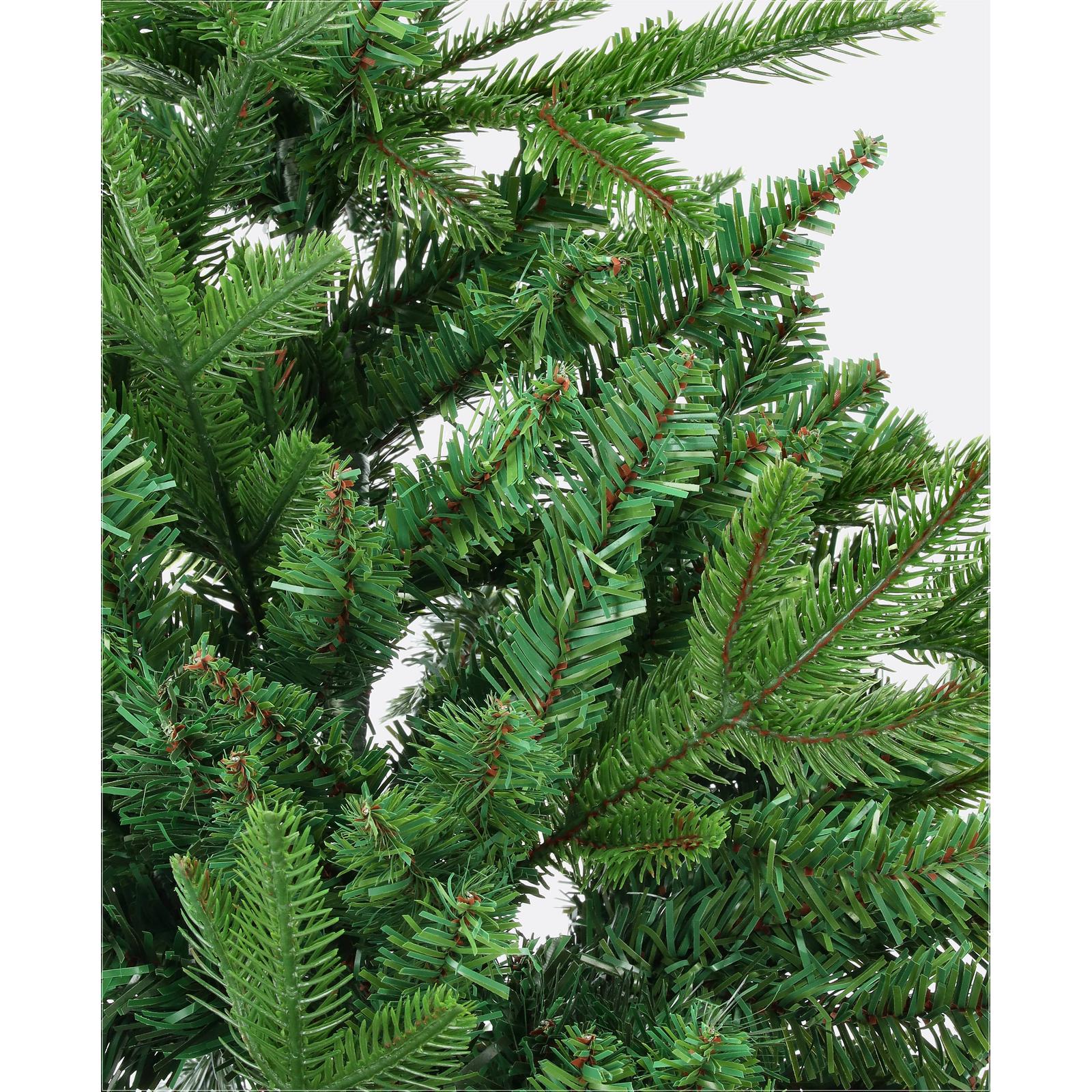 Jedľa himalájska-DREVTEX