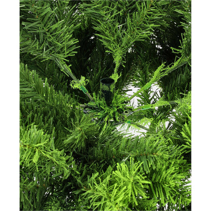 Smrek beskydský-DREVTEX