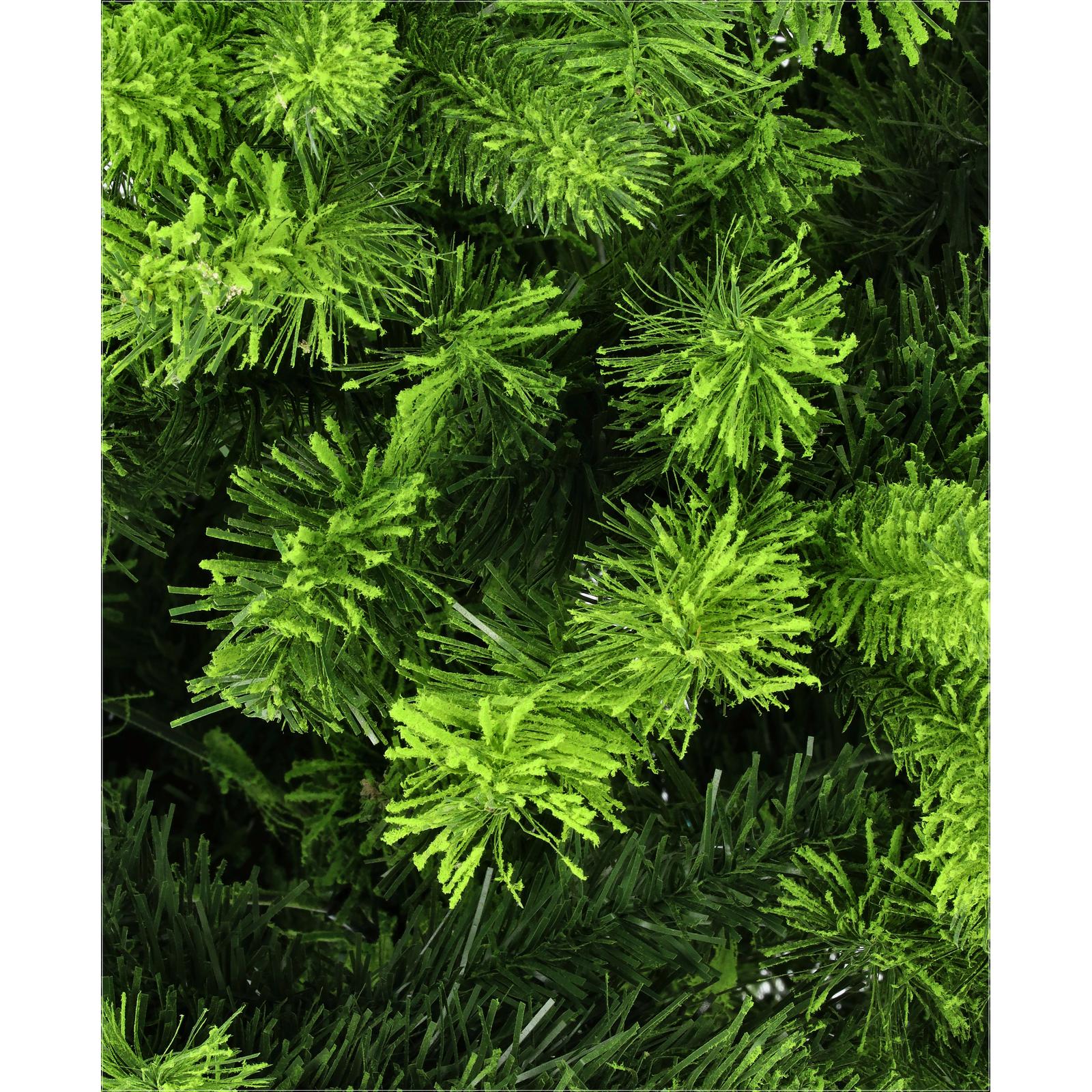 Smrek beskydský-DREVTEX