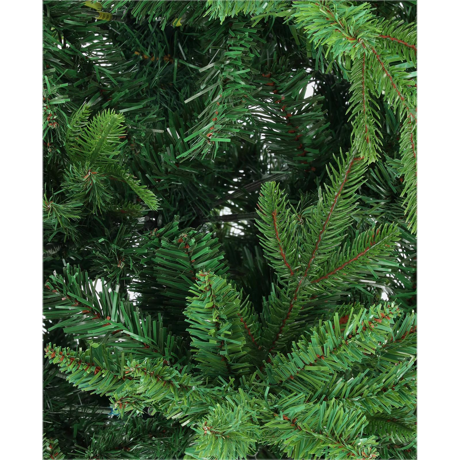 Jedľa himalájska-DREVTEX