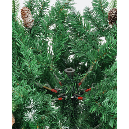 Borovica strieborná-DREVTEX