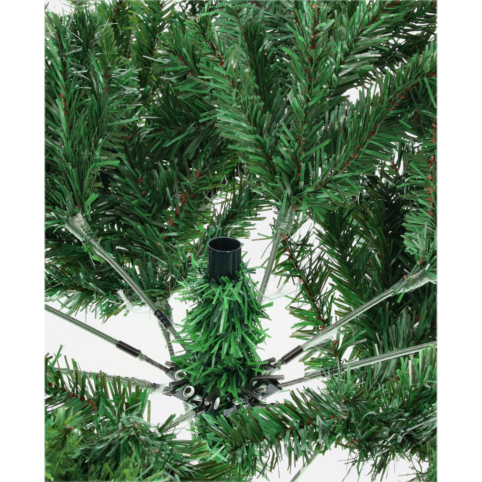 Jedľa himalájska-DREVTEX