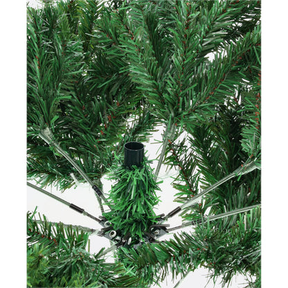 Jedľa himalájska-DREVTEX