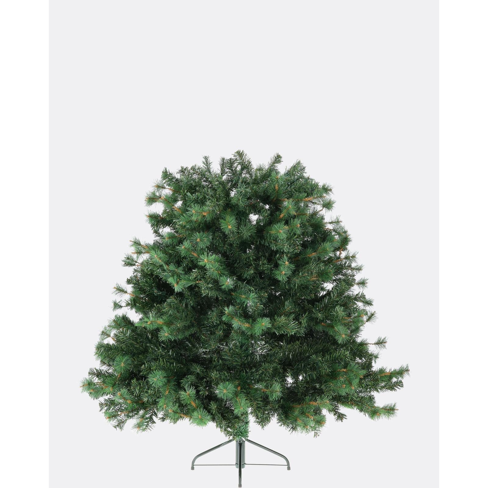 Smrek horský-DREVTEX