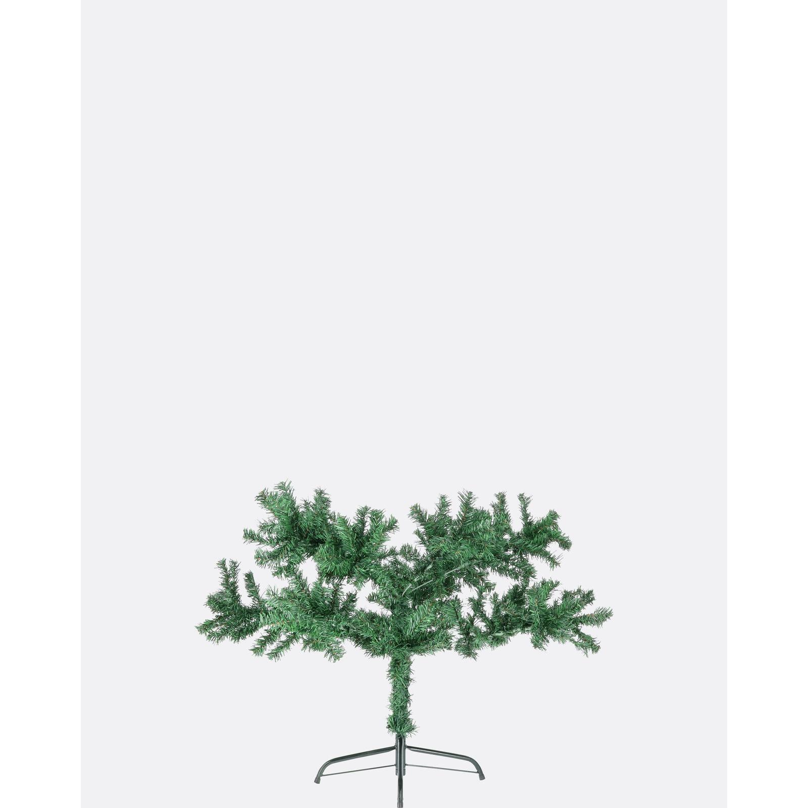 Smrek škandinávsky - DREVTEX